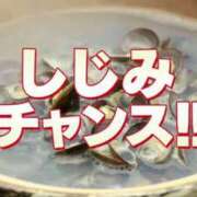 ヒメ日記 2025/09/13 00:09 投稿 北山　かすみ 昼下がりの情事
