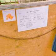 ヒメ日記 2025/10/22 00:21 投稿 北山　かすみ 昼下がりの情事