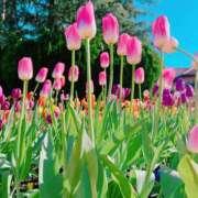 ヒメ日記 2026/03/14 16:03 投稿 北山　かすみ 昼下がりの情事