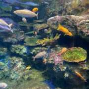 ヒメ日記 2025/10/29 15:40 投稿 高橋 熟女の風俗最終章 新横浜店