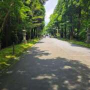 ヒメ日記 2026/03/24 12:01 投稿 まりる ドンファン