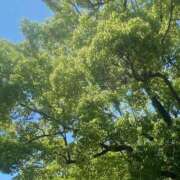 ヒメ日記 2025/04/30 18:34 投稿 土井 熟女の風俗最終章 横浜本店