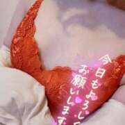 ヒメ日記 2025/01/18 08:16 投稿 すみれ 多恋人