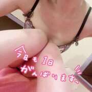 ヒメ日記 2025/03/02 07:56 投稿 すみれ 多恋人