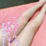 ヒメ日記 2025/04/12 07:56 投稿 すみれ 多恋人