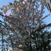 ヒメ日記 2025/04/13 07:46 投稿 すみれ 多恋人