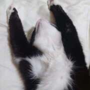 ヒメ日記 2025/05/15 07:17 投稿 あゆ 人妻美人館