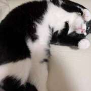 ヒメ日記 2025/09/09 08:44 投稿 あゆ 人妻美人館