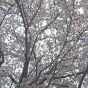 ヒメ日記 2025/04/07 08:21 投稿 きらら 渋谷 風俗 いきなりビンビン伝説