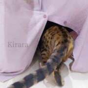 ヒメ日記 2025/08/09 09:15 投稿 きらら 渋谷 風俗 いきなりビンビン伝説