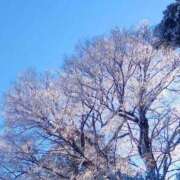 ヒメ日記 2026/01/04 08:30 投稿 きらら 渋谷 風俗 いきなりビンビン伝説