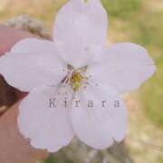 ヒメ日記 2026/03/31 08:18 投稿 きらら 渋谷 風俗 いきなりビンビン伝説