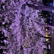 ヒメ日記 2025/03/31 22:47 投稿 いちか ラブ＆ナース