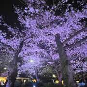 ヒメ日記 2025/04/08 21:42 投稿 いちか ラブ＆ナース