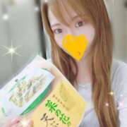 しの おはよ♪ 激安ドットコム