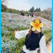 め　ぐ 本日9時〜12時です XSTASY（エクスタシー）