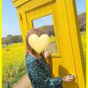 ヒメ日記 2026/01/31 06:53 投稿 め　ぐ XSTASY（エクスタシー）