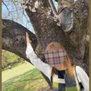 ヒメ日記 2026/02/19 07:03 投稿 め　ぐ XSTASY（エクスタシー）