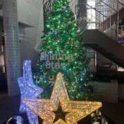 ヒメ日記 2025/11/24 11:15 投稿 リエル AMOUR（アムール）