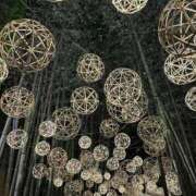 ヒメ日記 2025/11/25 09:01 投稿 リエル AMOUR（アムール）