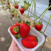 ヒメ日記 2026/03/09 13:15 投稿 リエル AMOUR（アムール）