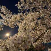 ヒメ日記 2026/04/08 08:15 投稿 リエル AMOUR（アムール）