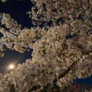 リエル 🈳あと1枠(?)です✨️ AMOUR（アムール）