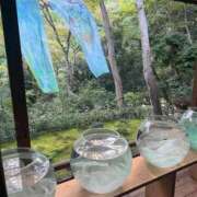 ヒメ日記 2026/04/24 14:15 投稿 リエル AMOUR（アムール）