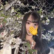 ヒメ日記 2026/05/02 10:16 投稿 リエル AMOUR（アムール）