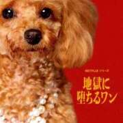 ヒメ日記 2026/05/13 11:31 投稿 リエル AMOUR（アムール）