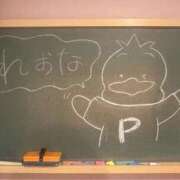 ヒメ日記 2025/05/02 18:52 投稿 れおな 妹系イメージSOAP萌えフードル学園 大宮本校