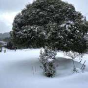 ヒメ日記 2025/02/06 00:30 投稿 星野 品川やすらぎ