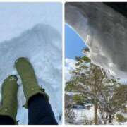 ヒメ日記 2025/02/18 18:56 投稿 星野 品川やすらぎ