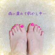 ヒメ日記 2025/03/12 23:18 投稿 星野 品川やすらぎ