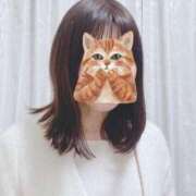 ヒメ日記 2025/04/16 20:04 投稿 星野 品川やすらぎ