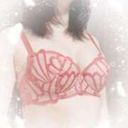 ヒメ日記 2025/05/17 20:06 投稿 星野 品川やすらぎ