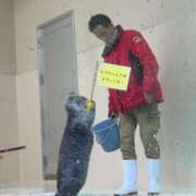 ヒメ日記 2025/06/08 19:28 投稿 星野 品川やすらぎ