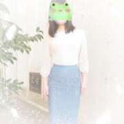 ヒメ日記 2025/06/17 19:50 投稿 星野 品川やすらぎ