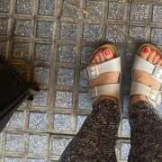 ヒメ日記 2025/08/21 19:50 投稿 星野 品川やすらぎ