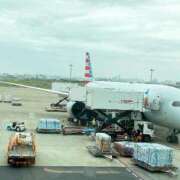 ヒメ日記 2025/10/09 15:35 投稿 星野 品川やすらぎ