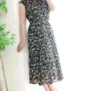 ヒメ日記 2025/11/13 20:59 投稿 星野 品川やすらぎ