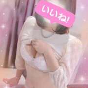 ヒメ日記 2026/02/03 18:35 投稿 星野 品川やすらぎ