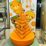 ヒメ日記 2026/08/09 21:27 投稿 星野 品川やすらぎ