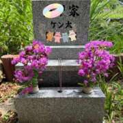 ヒメ日記 2026/08/10 20:35 投稿 星野 品川やすらぎ