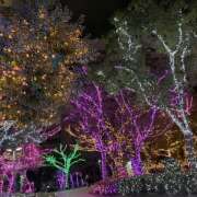 ヒメ日記 2025/01/24 20:45 投稿 つばさ Pick up