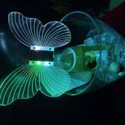 ヒメ日記 2025/03/02 20:36 投稿 つばさ Pick up