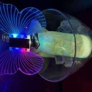 ヒメ日記 2025/03/13 23:21 投稿 つばさ Pick up