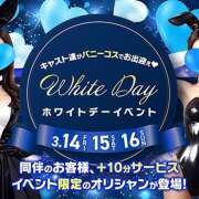 ヒメ日記 2025/03/14 19:34 投稿 つばさ Pick up