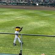 ヒメ日記 2025/04/20 21:00 投稿 つばさ Pick up