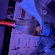 ヒメ日記 2025/06/05 20:35 投稿 つばさ Pick up